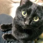 たかとぅの画像