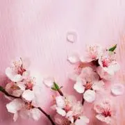 けーこ