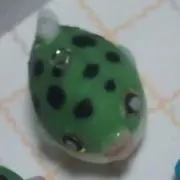 フグフグ