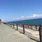 よったん☆