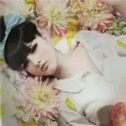 ホワイトの画像