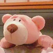 ピッツァオの画像