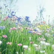チェリー★