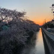 TWの画像