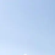 ぴぴ