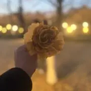 たなかの画像