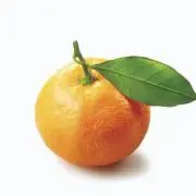 みかんの画像