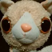 ♬NUTSQOO♩♪発送遅くなりますの画像