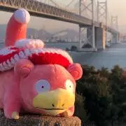やどん様の画像