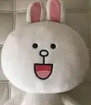 うさぴょんの画像