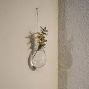 おもちの画像
