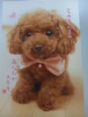 satomin☆の画像