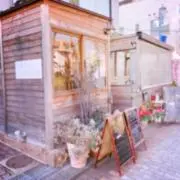 ハルの画像