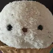 しろたん
