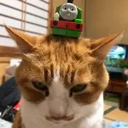 sotanの画像