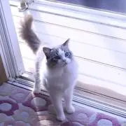 あっきーの画像