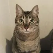 さんちゃんの画像