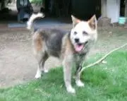 エイちゃん