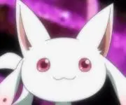ウニコロの画像