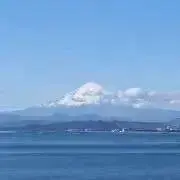 いちご組の画像
