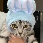 えつこ