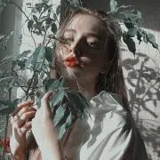 めろの画像