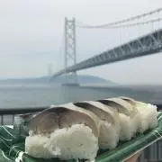 鯖ママの画像