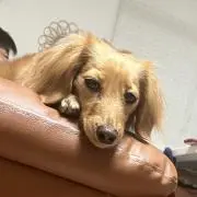 マミコ