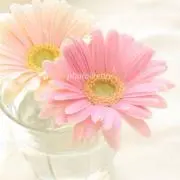 ☆Ma☆