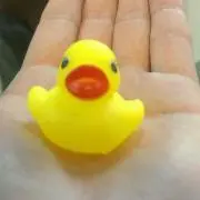 いぶきの画像
