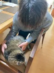 依頼さん