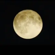 Mayrinaの画像