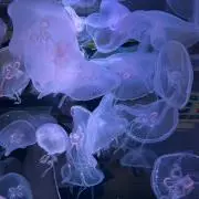 yuの画像
