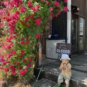 J姐の画像
