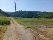 わかばの画像
