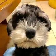 Tonyの画像