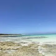 ようちーの画像