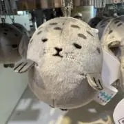 こちろの画像