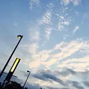 こずえの画像
