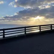 わたがしの画像