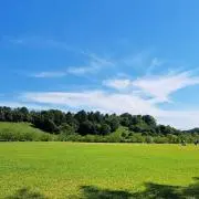スライムの画像