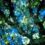 Tsuki Handmadeの画像