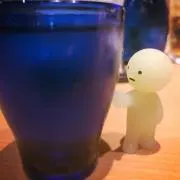 波瑠