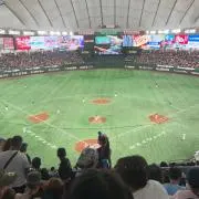 エムエスの画像