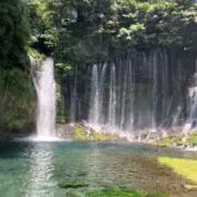 龍の画像