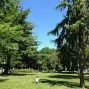 さりの画像