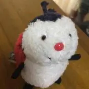 yuccohanの画像