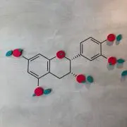ハルの画像