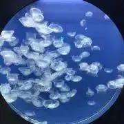 詠ママの画像