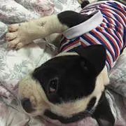 んをの画像